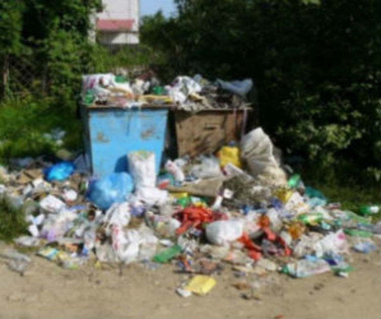 Александр Гусев обещал иметь дело с компаниями, которые ужасно вынимают мусор