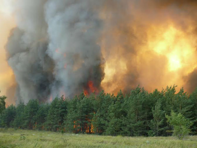 Пятый класс опасности возгорания установлен в Воронеже