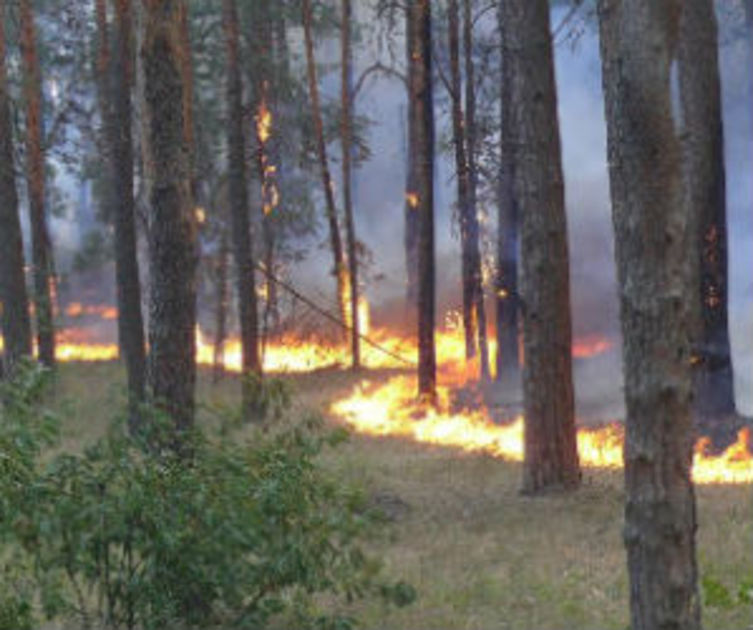 Пятый класс опасности возгорания установлен в Воронеже